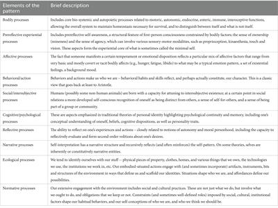 Examination of self patterns: framing an alternative phenomenological interview for use in mental health research and clinical practice